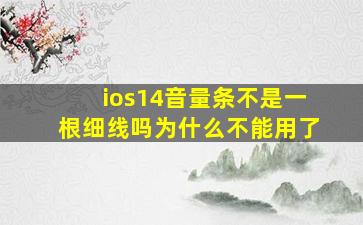 ios14音量条不是一根细线吗为什么不能用了