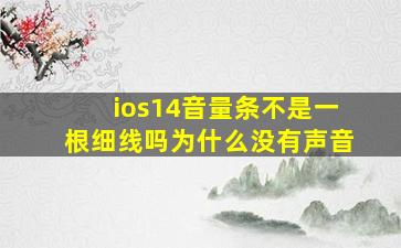 ios14音量条不是一根细线吗为什么没有声音