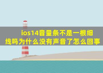 ios14音量条不是一根细线吗为什么没有声音了怎么回事