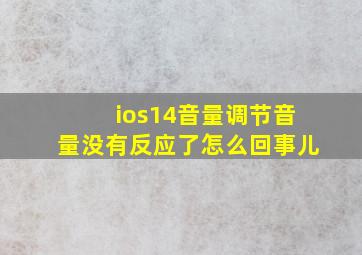 ios14音量调节音量没有反应了怎么回事儿