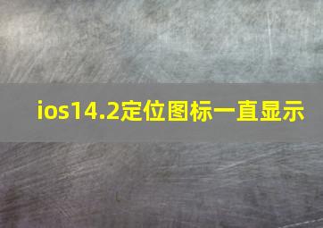 ios14.2定位图标一直显示