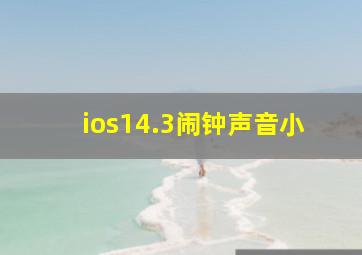 ios14.3闹钟声音小