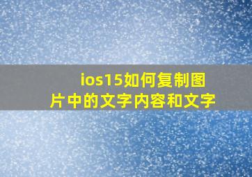 ios15如何复制图片中的文字内容和文字