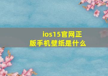 ios15官网正版手机壁纸是什么