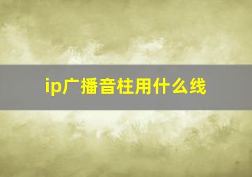 ip广播音柱用什么线