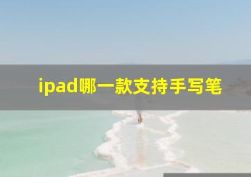 ipad哪一款支持手写笔