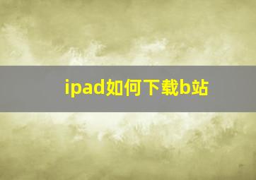 ipad如何下载b站