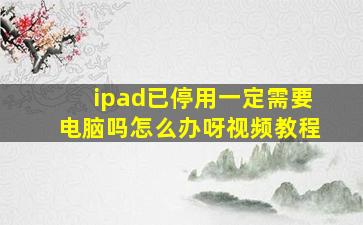 ipad已停用一定需要电脑吗怎么办呀视频教程