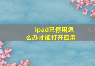 ipad已停用怎么办才能打开应用