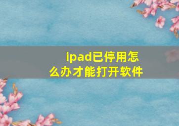 ipad已停用怎么办才能打开软件