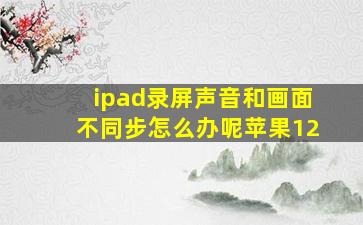 ipad录屏声音和画面不同步怎么办呢苹果12