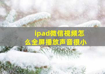 ipad微信视频怎么全屏播放声音很小