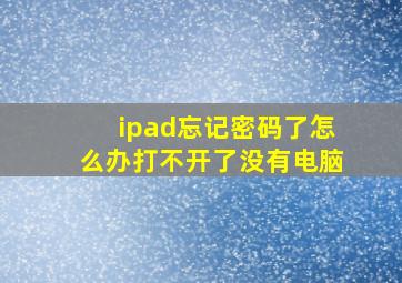 ipad忘记密码了怎么办打不开了没有电脑