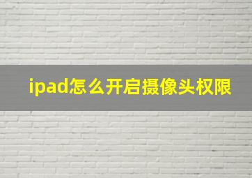 ipad怎么开启摄像头权限