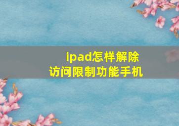 ipad怎样解除访问限制功能手机