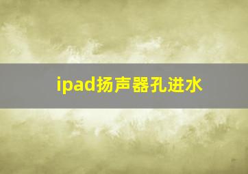 ipad扬声器孔进水