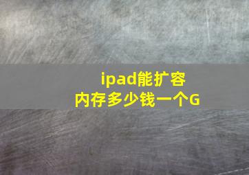 ipad能扩容内存多少钱一个G