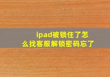 ipad被锁住了怎么找客服解锁密码忘了