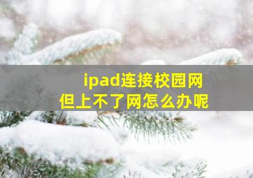 ipad连接校园网但上不了网怎么办呢