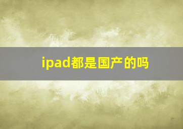 ipad都是国产的吗