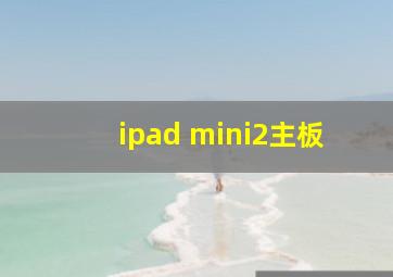 ipad mini2主板