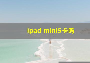 ipad mini5卡吗