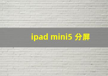 ipad mini5 分屏