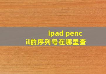 ipad pencil的序列号在哪里查