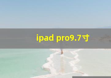 ipad pro9.7寸