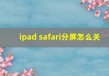 ipad safari分屏怎么关