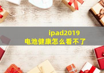 ipad2019电池健康怎么看不了