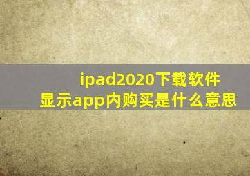 ipad2020下载软件显示app内购买是什么意思