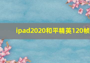 ipad2020和平精英120帧