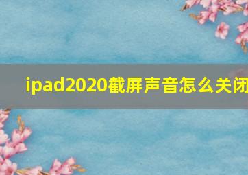 ipad2020截屏声音怎么关闭