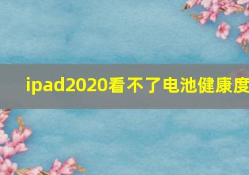 ipad2020看不了电池健康度