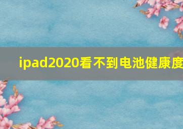 ipad2020看不到电池健康度