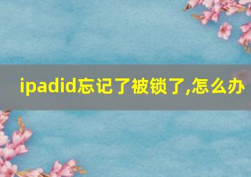 ipadid忘记了被锁了,怎么办