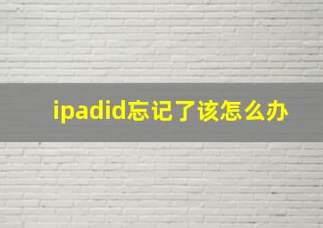 ipadid忘记了该怎么办