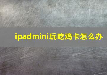 ipadmini玩吃鸡卡怎么办