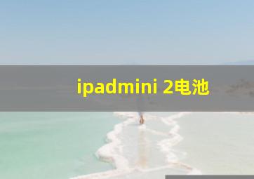 ipadmini 2电池