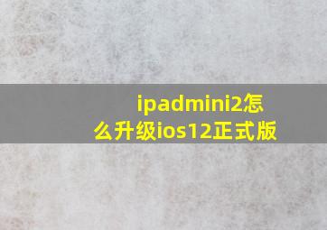 ipadmini2怎么升级ios12正式版