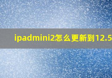 ipadmini2怎么更新到12.5.7