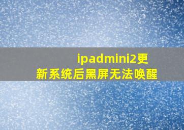 ipadmini2更新系统后黑屏无法唤醒