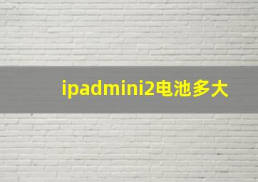 ipadmini2电池多大