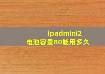 ipadmini2电池容量80能用多久