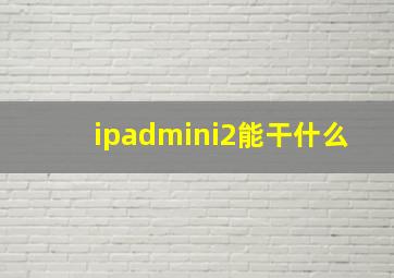 ipadmini2能干什么