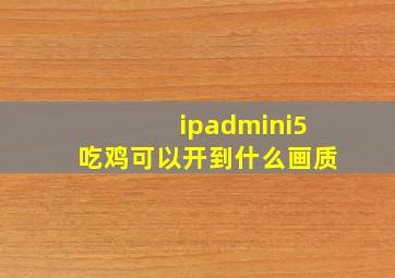 ipadmini5吃鸡可以开到什么画质