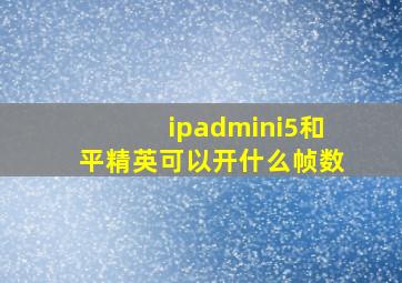 ipadmini5和平精英可以开什么帧数