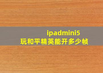 ipadmini5玩和平精英能开多少帧