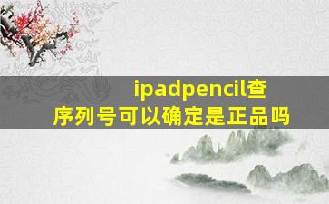 ipadpencil查序列号可以确定是正品吗